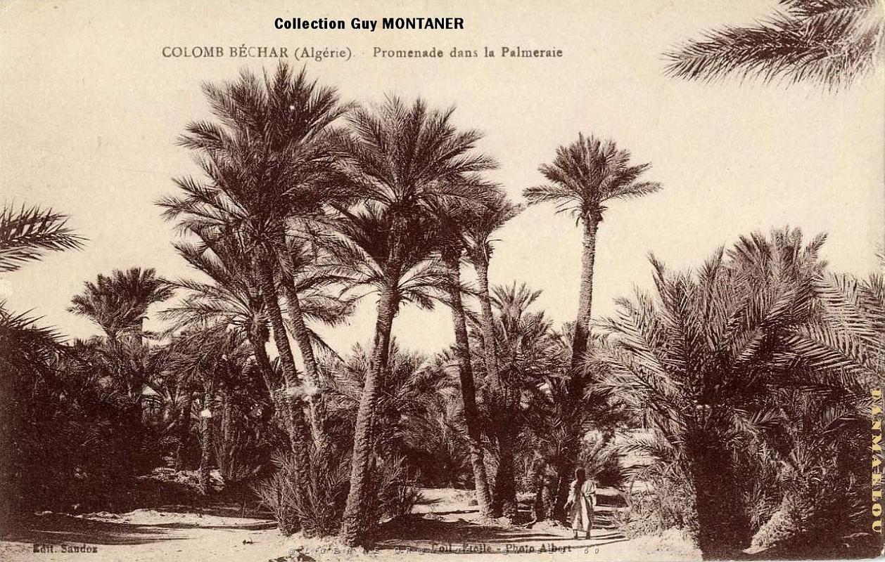 Colomb bechar 022- Collection Montaner_2.jpg